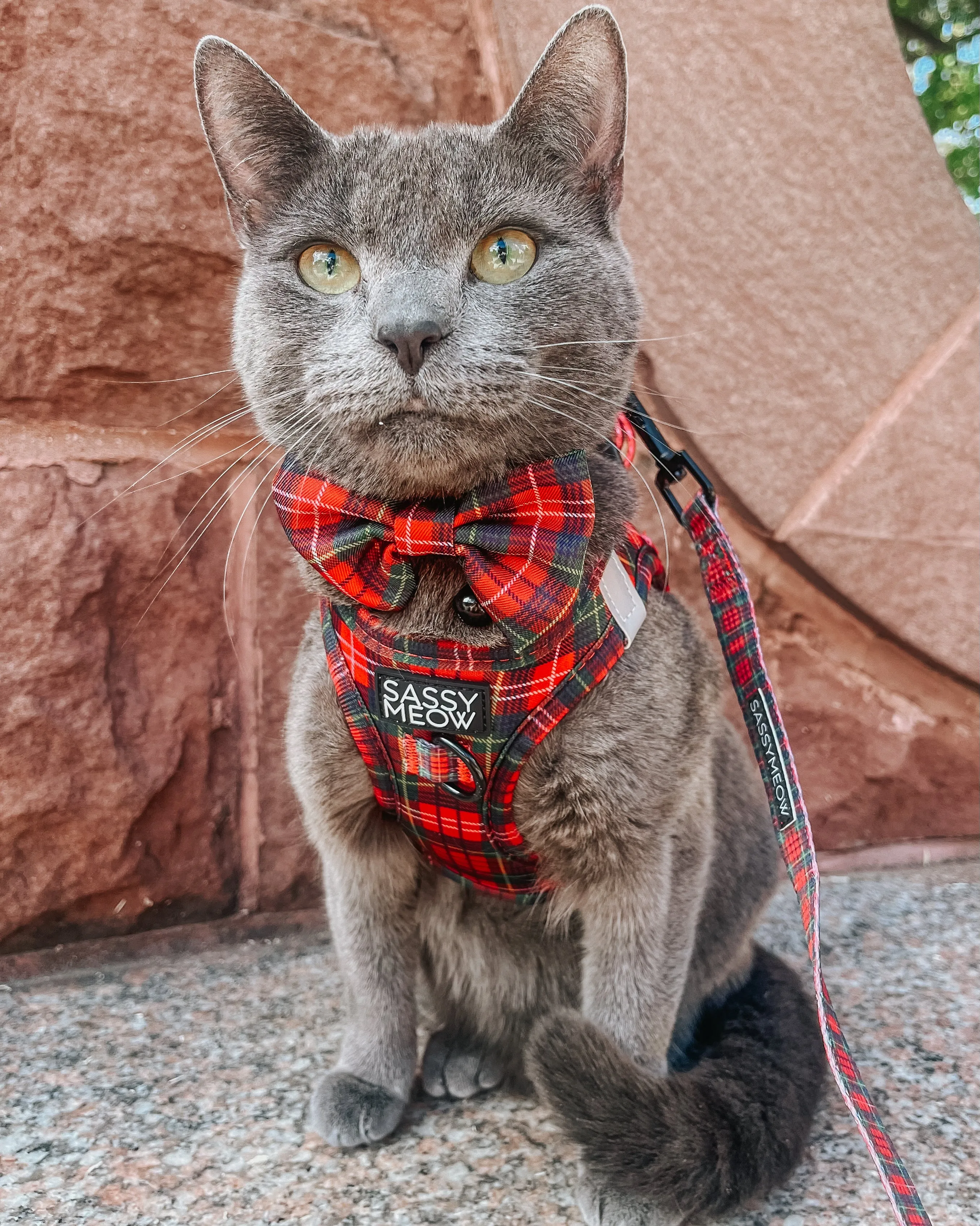 Cat Step-In Harness - Deck the Paws