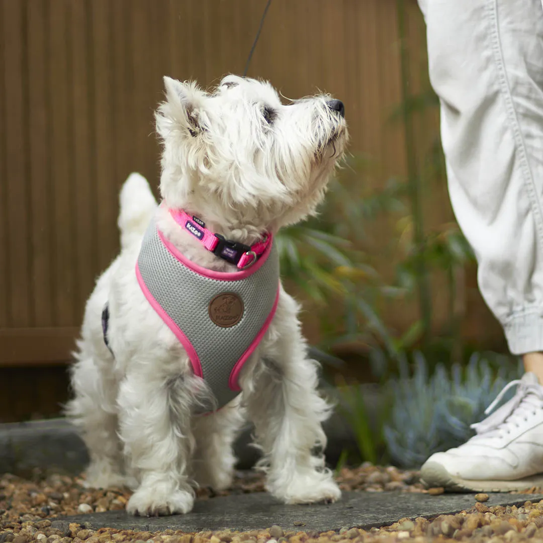 Classic Easy-clip Dog Collar - Pink