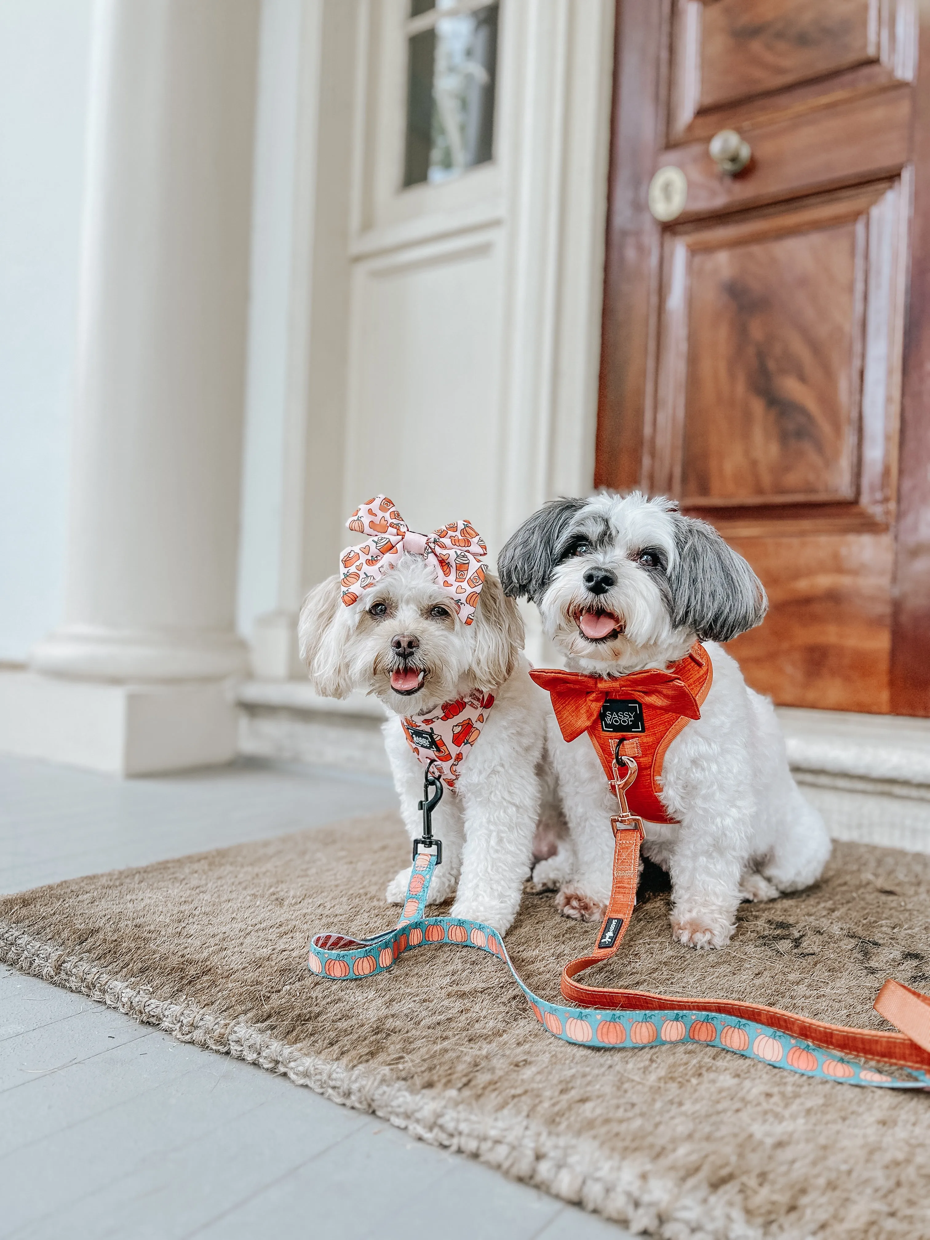 Dog Adjustable Harness - Foxy