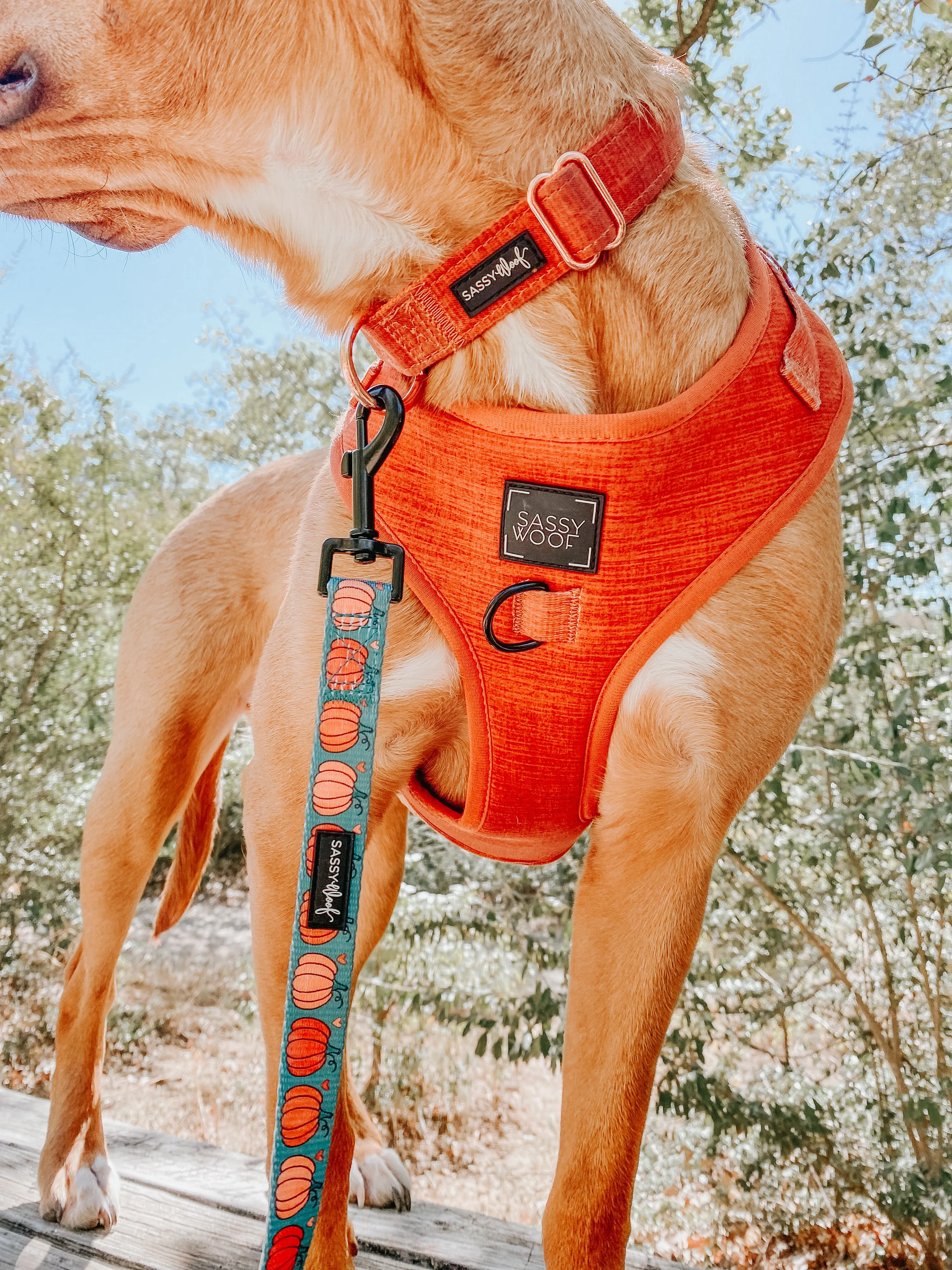 Dog Adjustable Harness - Foxy