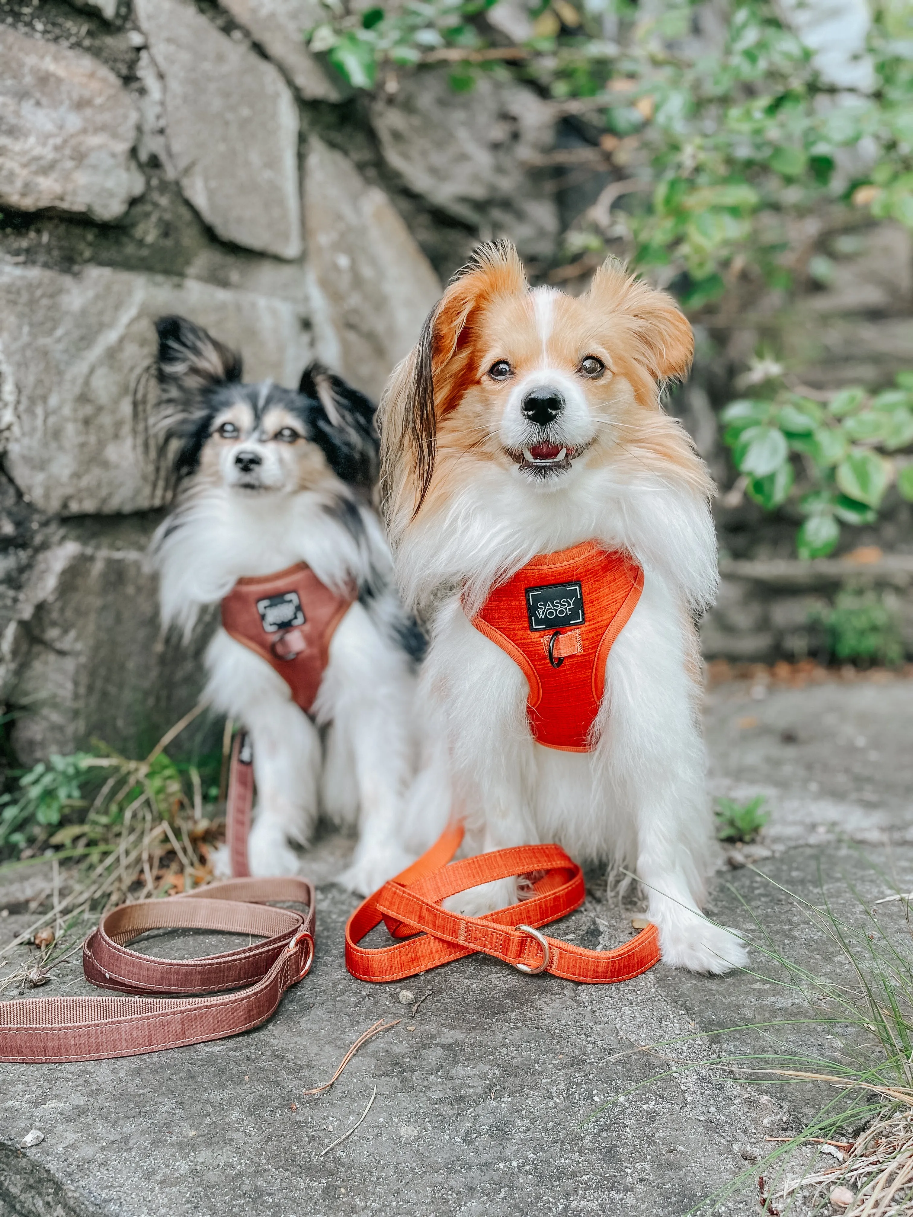 Dog Adjustable Harness - Foxy