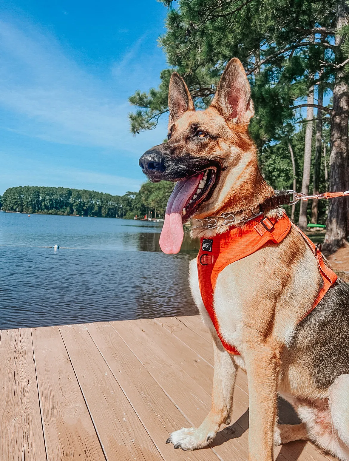 Dog Adjustable Harness - Foxy