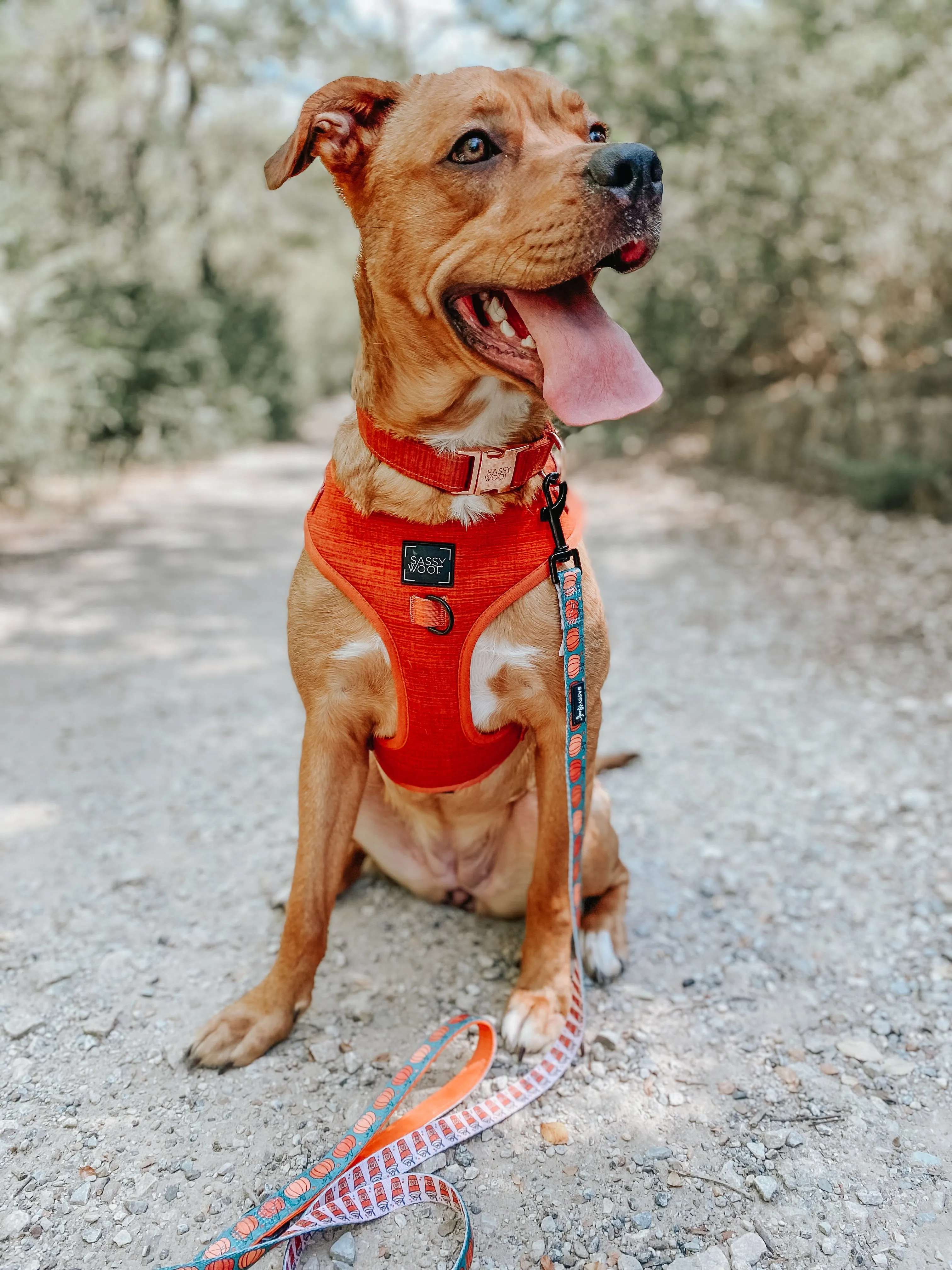 Dog Adjustable Harness - Foxy