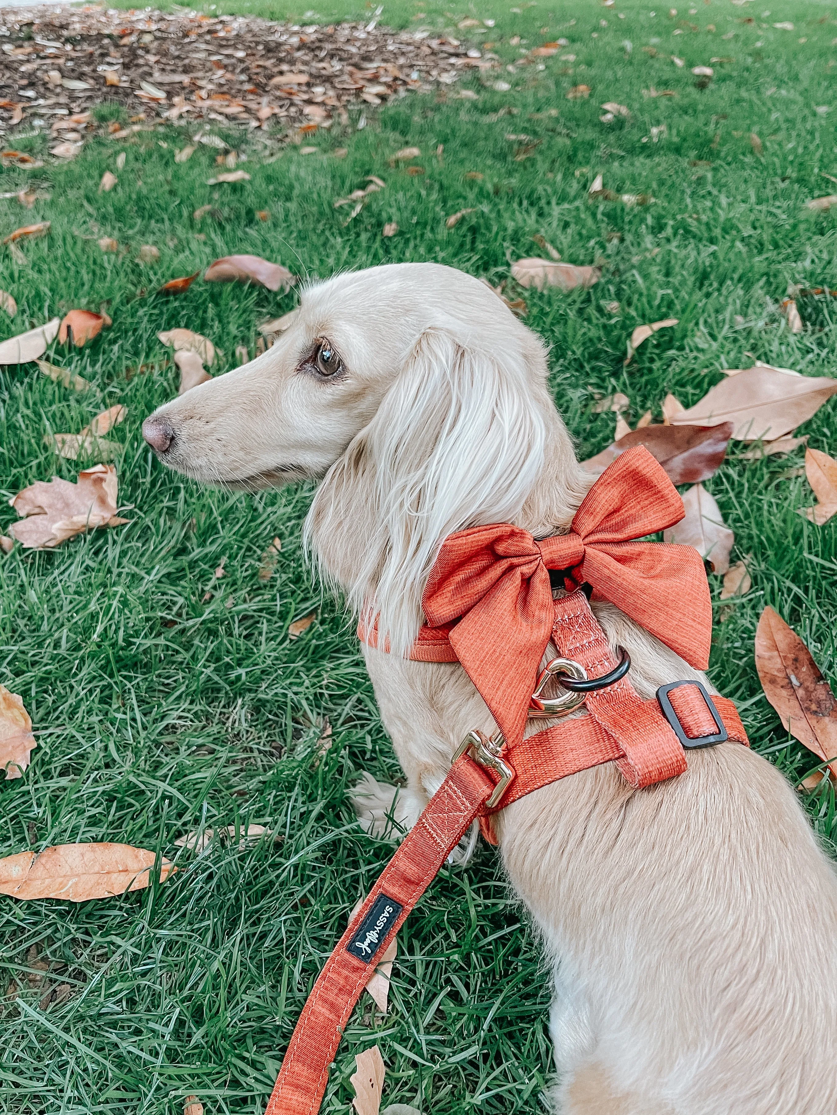 Dog Adjustable Harness - Foxy