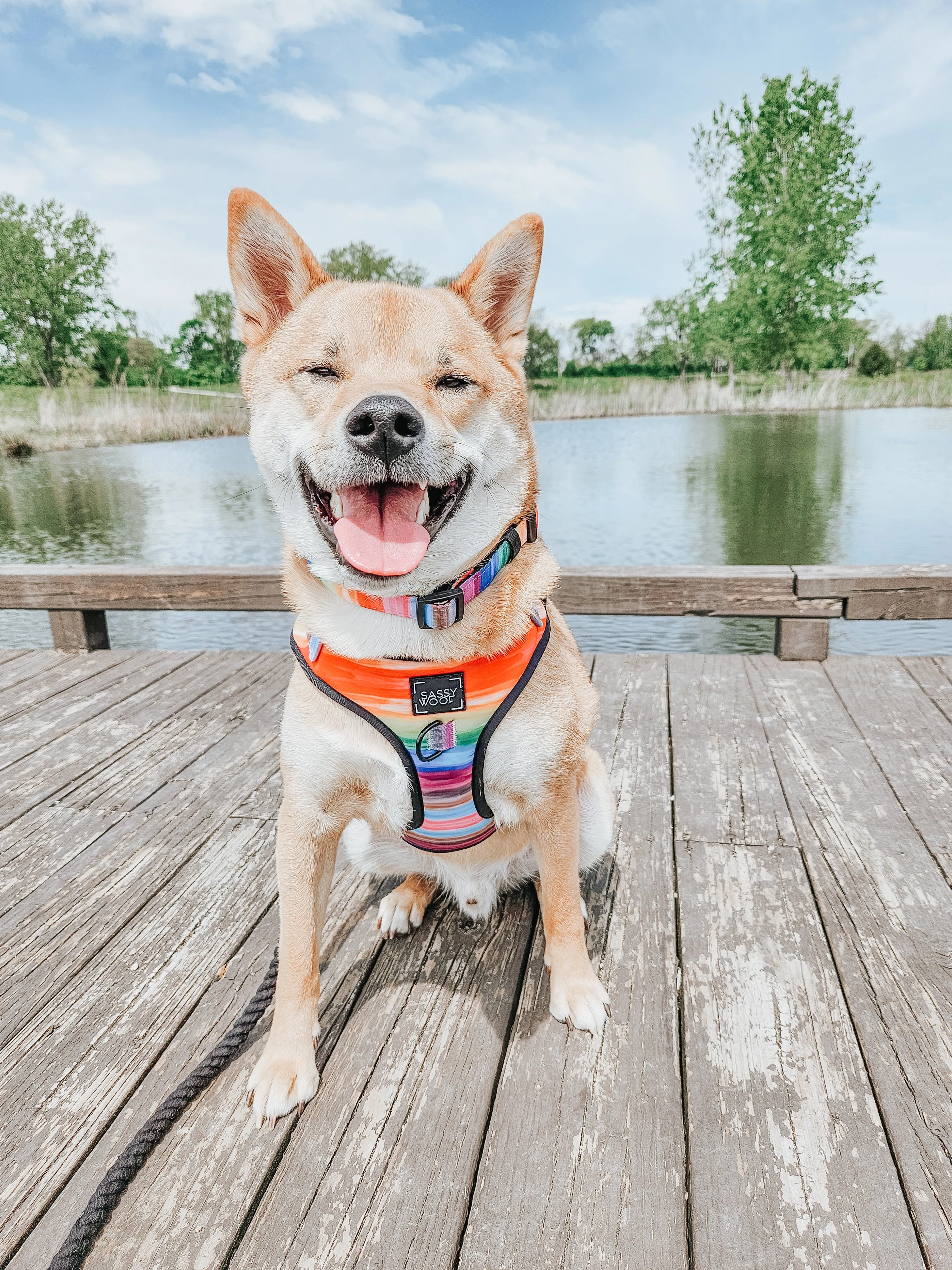 Dog Adjustable Harness - Love You Fur You