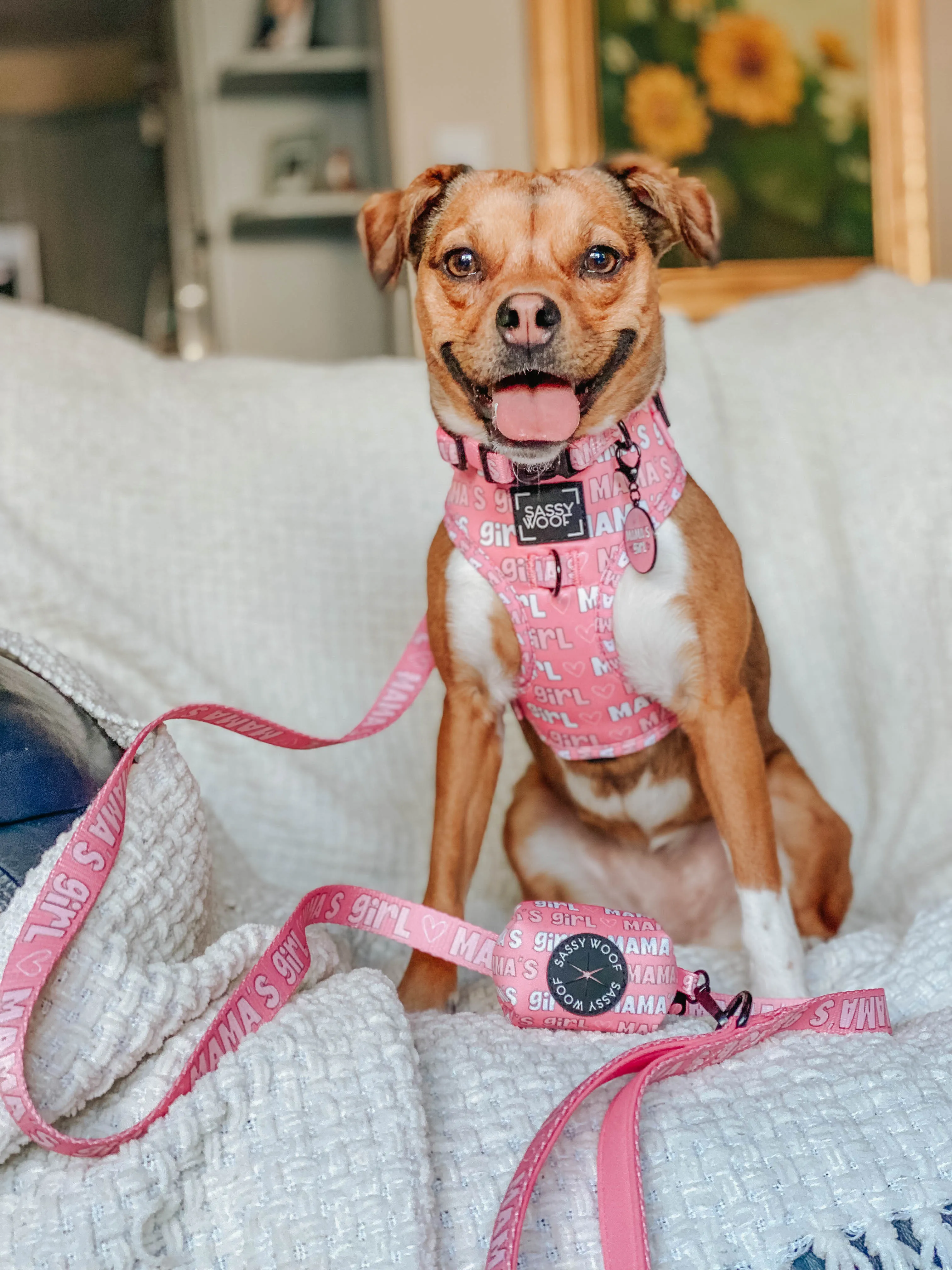 Dog Adjustable Harness - Mama's Girl