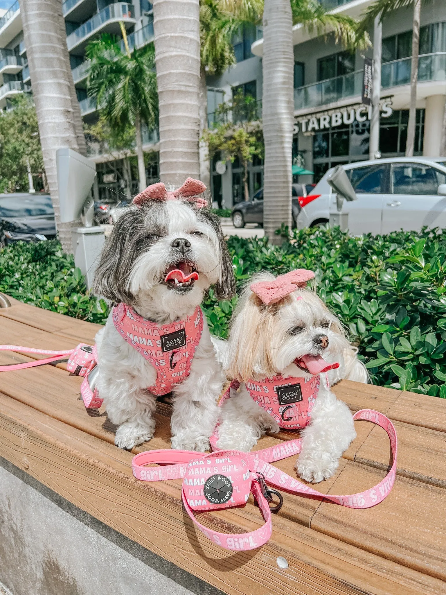 Dog Adjustable Harness - Mama's Girl