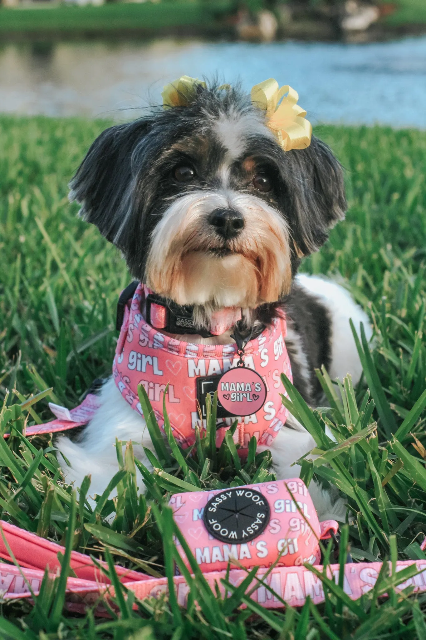 Dog Adjustable Harness - Mama's Girl