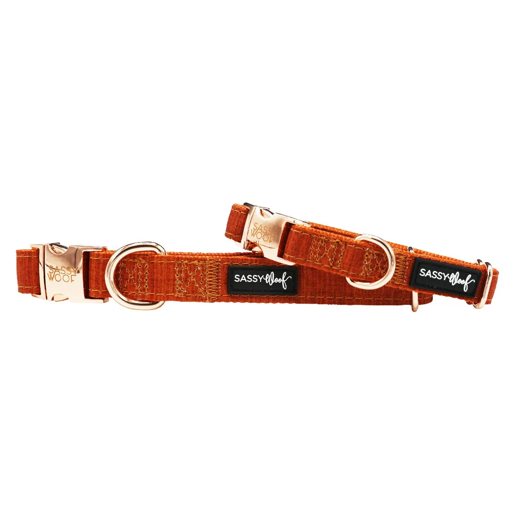 Dog Collar - Foxy