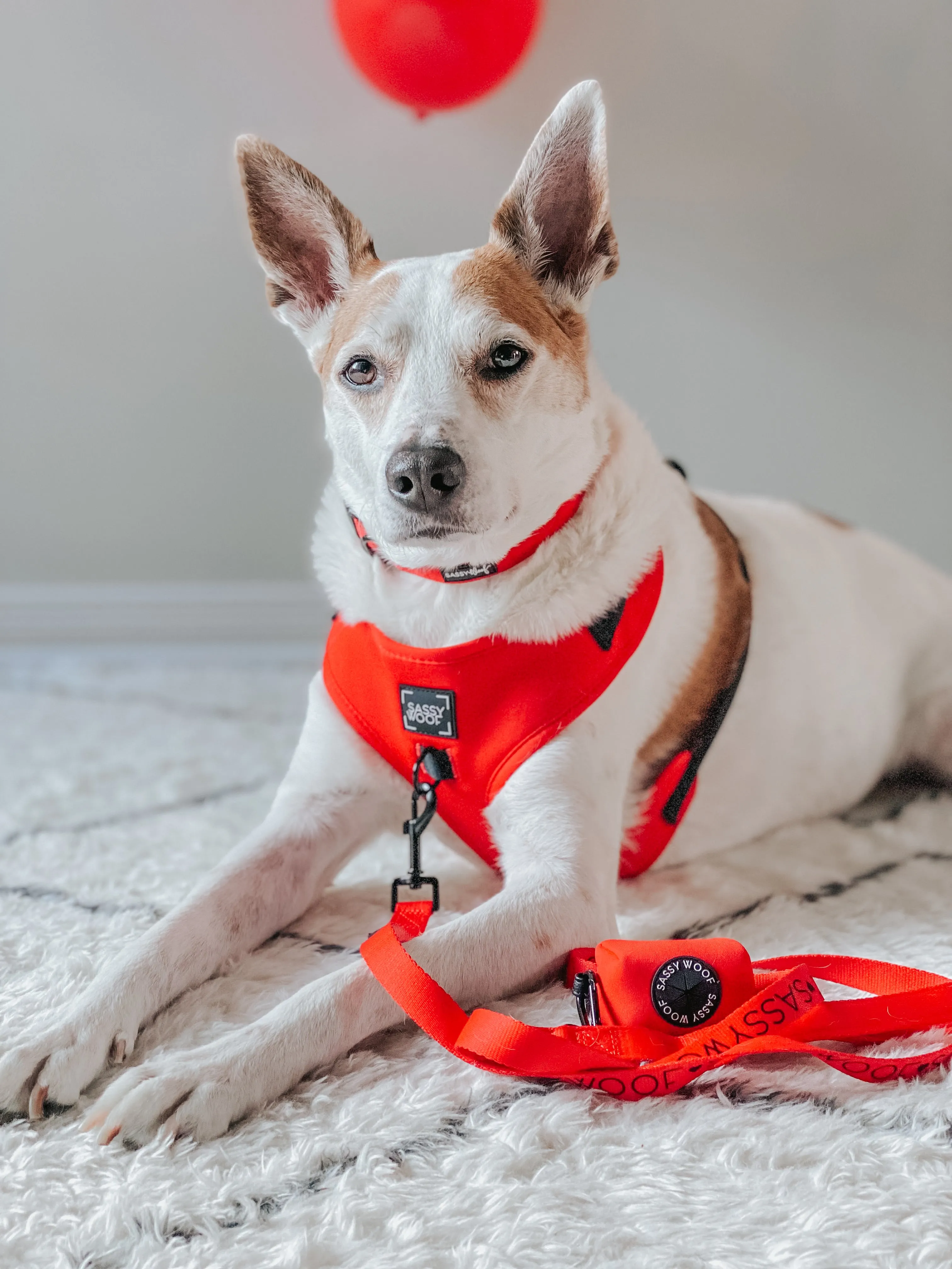 Dog Collar - Neon Red