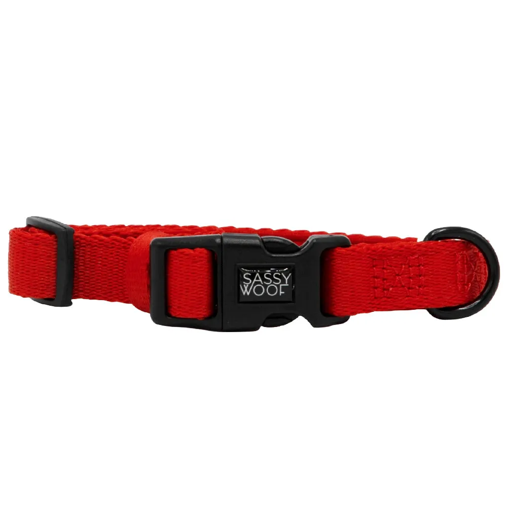 Dog Collar - Neon Red