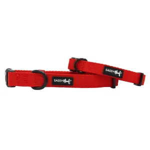 Dog Collar - Neon Red