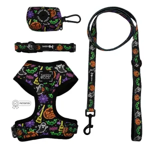 Dog Four Piece Bundle - Neon Frights