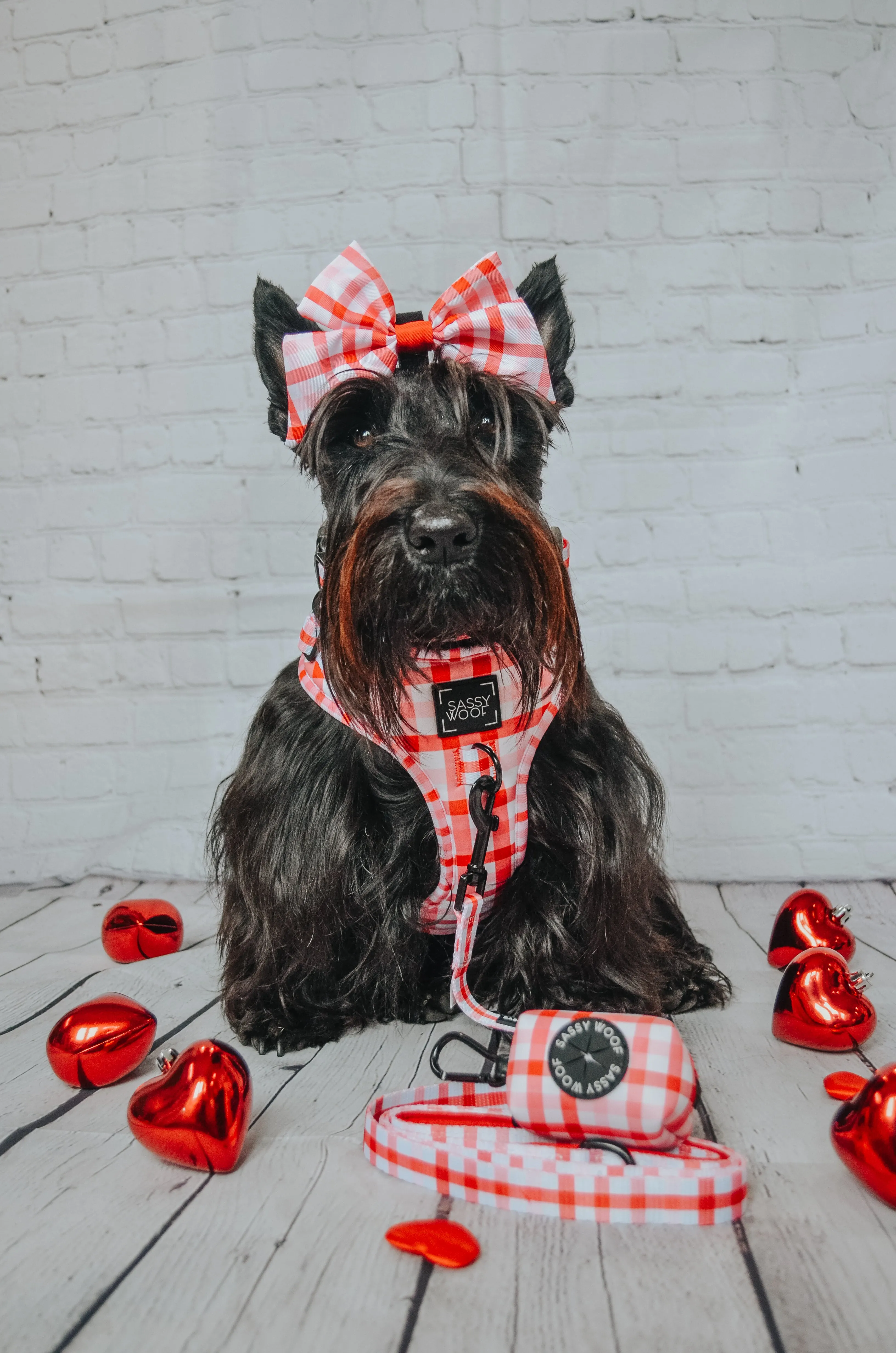 Dog Sailor Bow - Picnic Fur Two