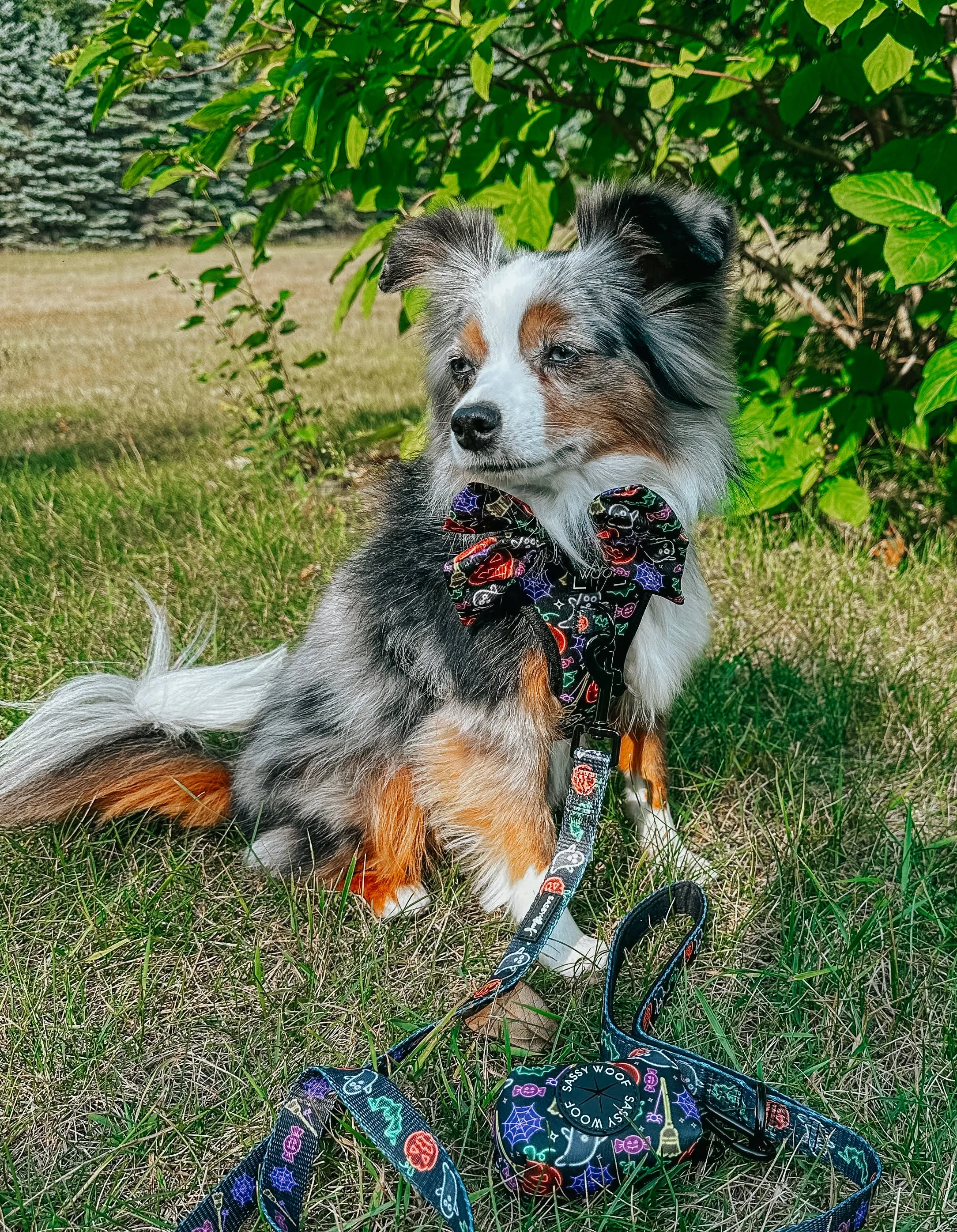 Dog Waste Bag Holder - Neon Frights