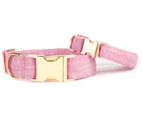 Foggy Dog Collar Orchid