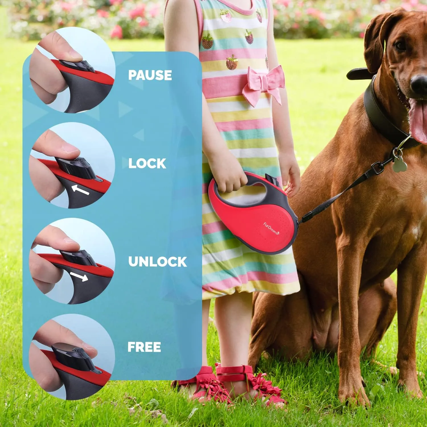 FurDreams Retractable Nylon Dog Lead – 5m, Heavy Duty with Lock Button, Anti-Tangle Leash, Comfortable Handle, Available in Multiple Colors & Sizes (Up to 15kg/33lbs)