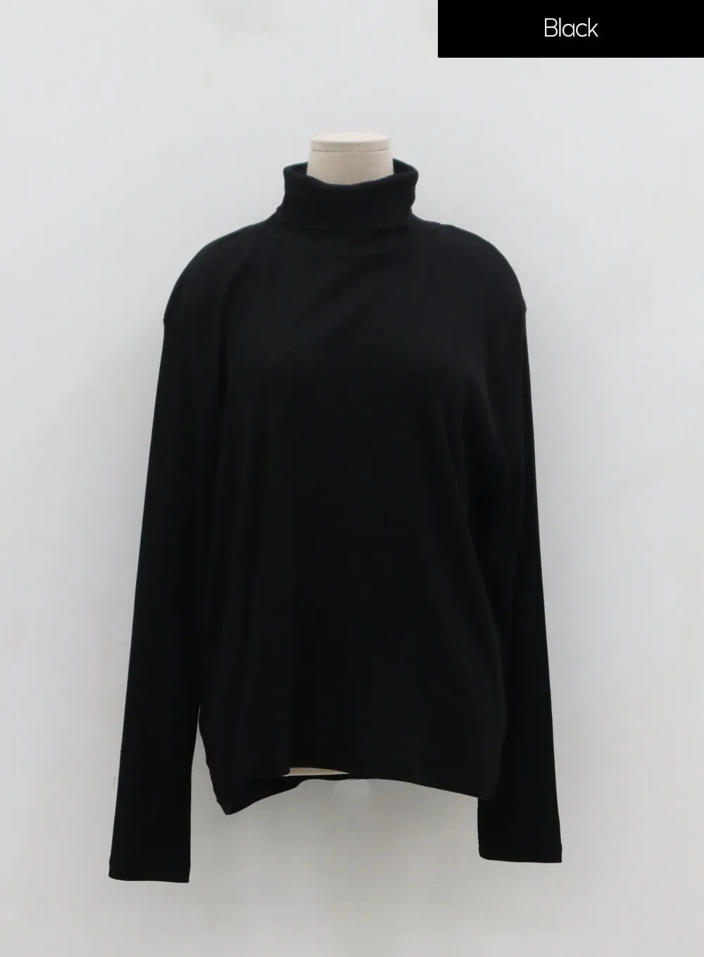 Plus Basic Long Sleeve Turtleneck IN16