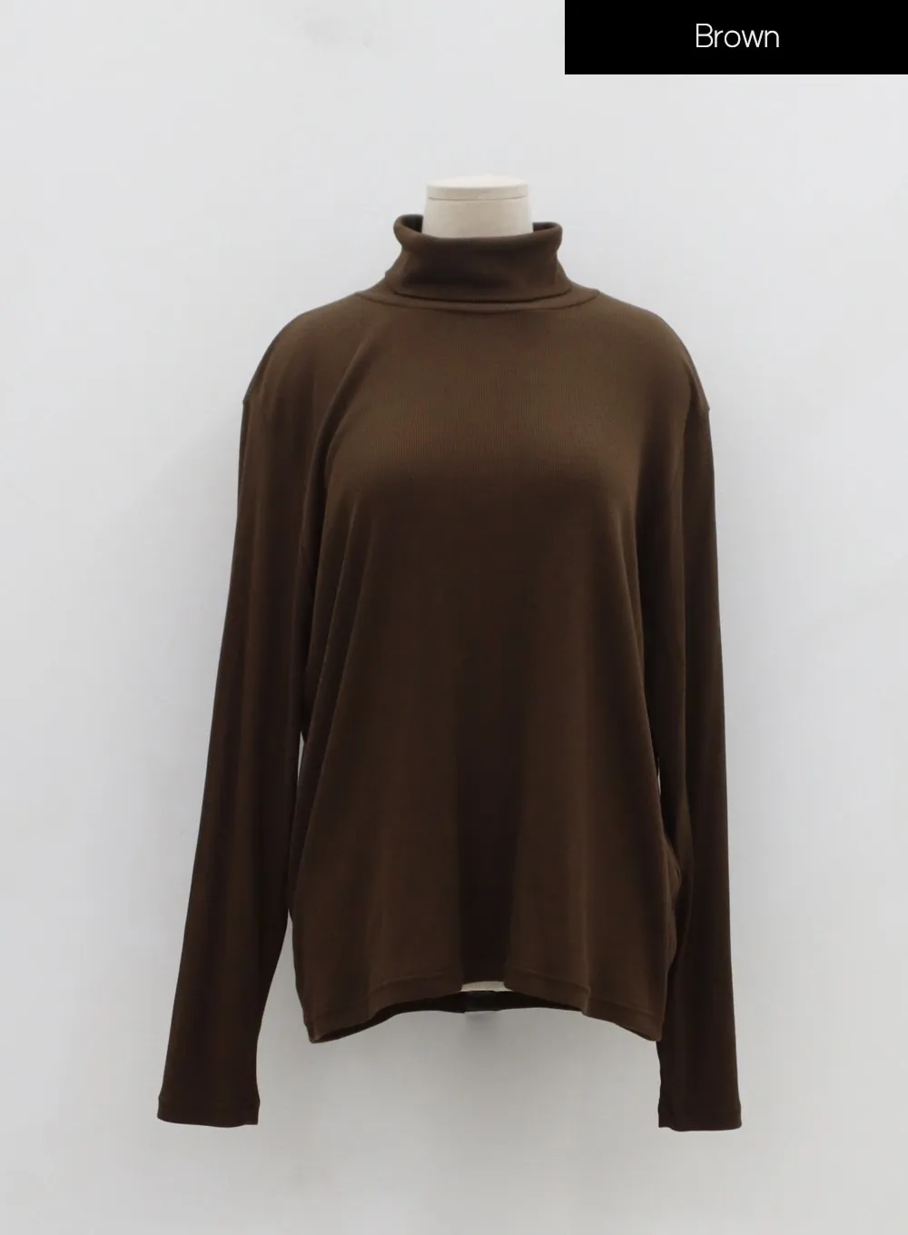 Plus Basic Long Sleeve Turtleneck IN16